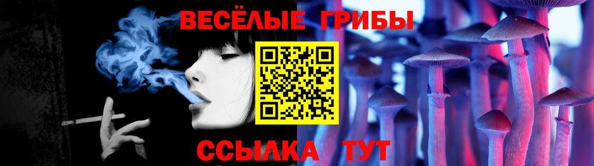купить   Галлюциногенные грибы ЛСД  Вход с VPN  Минеральные Воды  Галлюциногенные грибы прущие грибы 
